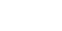 logo festo